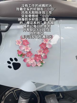 坐骑“小白”荣获樱花系列限定皮肤#手工diy #樱花 #电车 #创意diy #创意