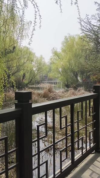 此别无声,山河共念 #人生感悟 #情感共鸣