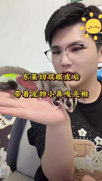 东莱切双眼皮后带着宠物小鼻嘎亮相直播间#白小白徒弟 #娱乐评论大赏 #直播 #热门 #宠物