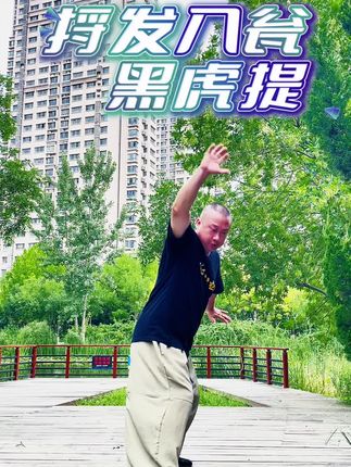 捋发入瓮黑虎提 #开门八极拳#八极拳#八极拳教学#郑八极