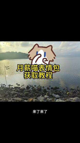 小猫表情包保存到微信教程来了小猫捂鼻子扇空气表情包微信白手小猫表情包微信关键 #剪映 #小猫表情包 #月薪喵 小猫表情包微信怎么搜