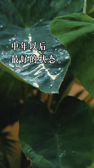 中年以后最好的状态
就是销声匿迹,半隐半藏#情感#中年#人生感悟#哲学经典语录 #情感治愈