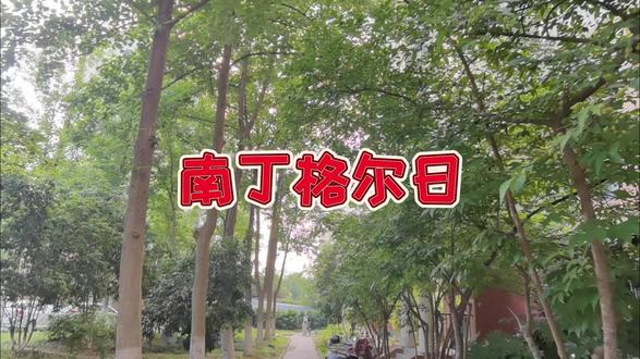 国际护士节旨在弘扬南丁格尔“爱心、耐心、细心、责任心”的护理精神,激励全球护士继承救死扶伤的人道主义传统。自1988年起,每年设定一个主题,各国通过授帽仪式、公益活动等方式纪念这一节日。
#南丁格尔 #国际护士节 #爱心 #耐心 #细心