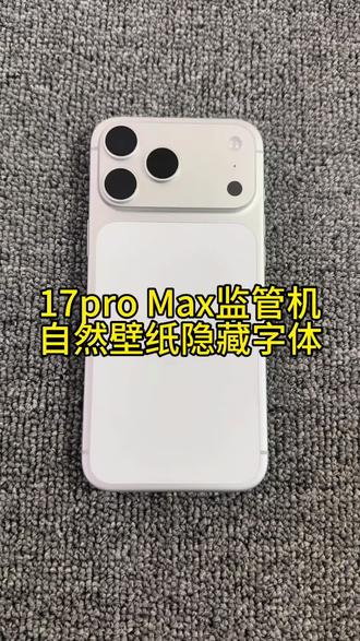 17pro Max监管机壁纸#iPhone #壁纸 #监管机