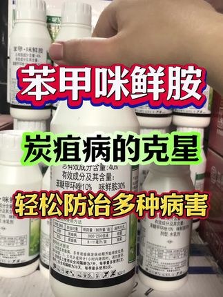 苯甲咪鲜胺,炭疽的克星#苯甲咪鲜胺 #农业种植 #病虫害防治 #炭疽 #炭疽病防治