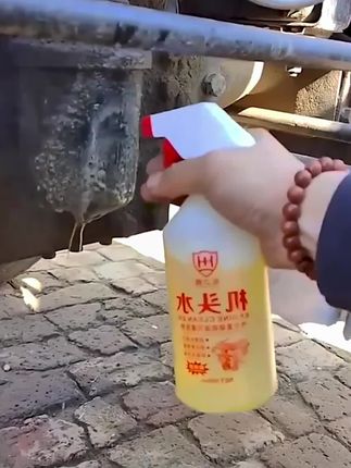 发动机清洁剂#汽车维修 #机头水