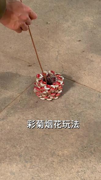 教你们怎么玩彩菊。这样玩性价比拉满