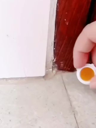 (蟑螂蚂蚁通用)杀蟑饵剂杀虫饵剂蟑螂药一窝端家用灭蟑神器出租房#实用小技巧 #生活小妙招 #日常生活小妙招