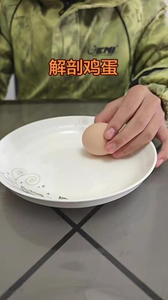 孙儿物理课作业,解剖鸡蛋并阐述