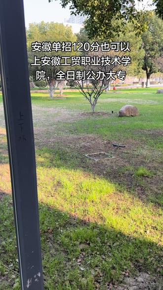 安徽单招120分也可以上安徽工贸职业技术学院#安徽工贸职业技术学院