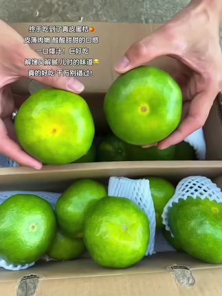 终于吃到了青皮蜜桔!#应季水果 #青皮蜜桔 #优质水果 #橘子 #口感非常好