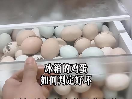 长期放冰箱里的鸡蛋,如何判断它的好坏? #鸡蛋 #冷门小知识 #普及知识 #科普一下
