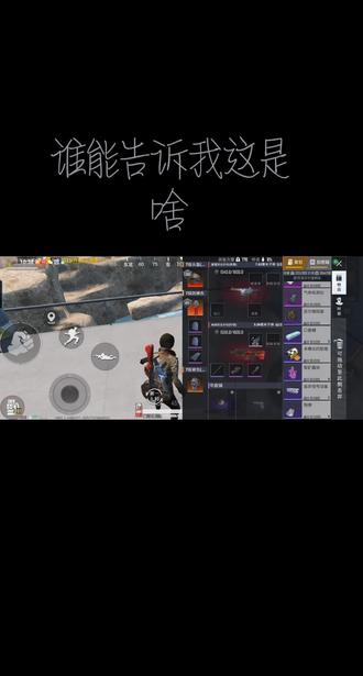 苏尔兰短笛,有人出过吗