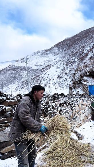 我们家老牦牛恢复的非常棒!今天好开心呀#牦牛 #格林#牧区真实生活 #正能量@抖音小助手