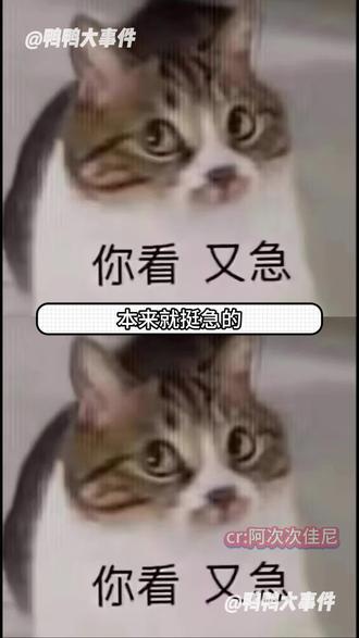 平等的惹所有人就等于谁也没惹,毕竟我生性就不爱笑 #厕所标识 #创飞所有人 #笑死我了