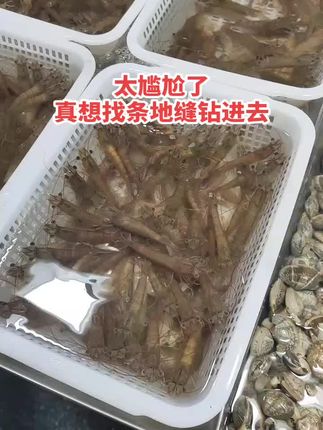 今天去买大虾,我问老板这虾是野生的吗?不是养殖打药的吧?老板白了我一眼说他家的虾没有打药,想吃回家自己放。还说买就买,不买去别处看看不要耽误他做生意,我就这么一问老板还不高兴了,太尴尬了。瞬间俺吃大虾的心情都没有了,看来买东西的时候不能乱说话😂😂#万万想不到 #太尴尬了 #内容过于真实