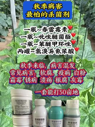 一套兑水1500斤,种植大户可以入手,价位跟效果双双拉满,除了豆角任何作物都可以使用#效果好#农业种植 #三农流量扶持计划 #种植小技巧 #三农小知识