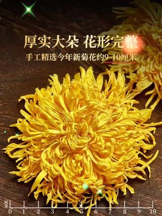 #好物推荐🔥 #今日分享 #直播带货#金丝皇菊