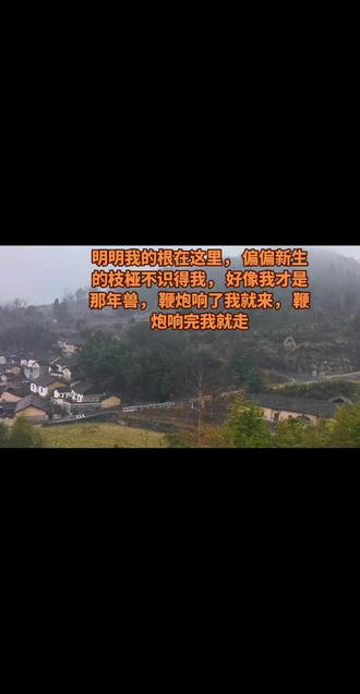 明明我的根在这里,
偏偏新生的枝桠不识得我,
好像我才是那年兽,
鞭炮响了我就来,
鞭炮响完我就走