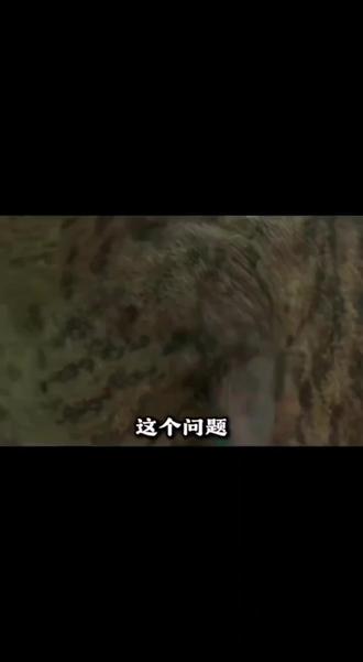 "恐龙短小前肢的秘密”#历史冷知识 #科普冷知识