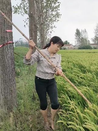 现在的我已经没有精力去淘好谁,稍微让我累点关系,我都不想去维持,一是没时间,二是没精力,虽然我的骨子倔强,性子直,但我更会忍让宽容的恣态,我的态度永远取决于你的态度,你喜欢也好不喜欢也罢,这就是我比你想象中深情,也比你想象中的冷漠
