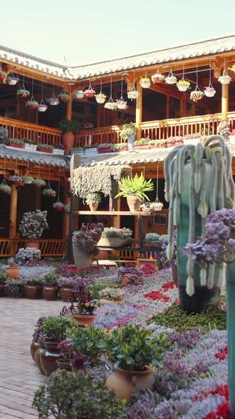 不用去到丽江,就在古城里~#有一种叫云南的生活 #滇超看玉溪 #美好生活在玉溪 #院子餐厅 #古城里