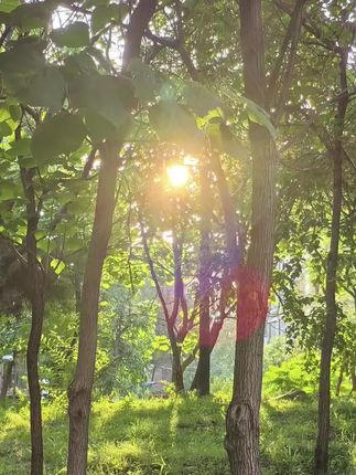 #月亮椅 #椅子 #休闲椅子 #露营椅子 #户外月亮椅