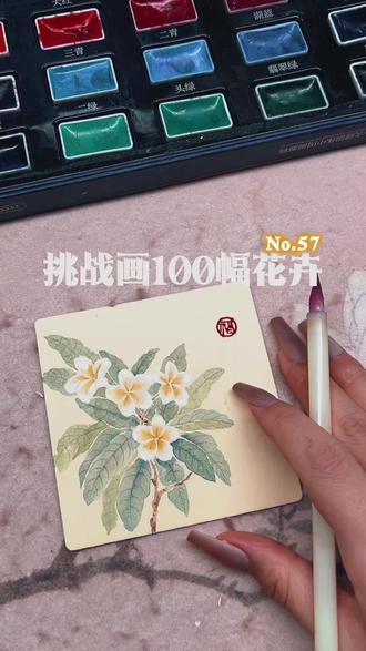 挑战画100幅花卉|鸡蛋花 #鸡蛋花 #没骨画 #零基础学画画 #绘画教程