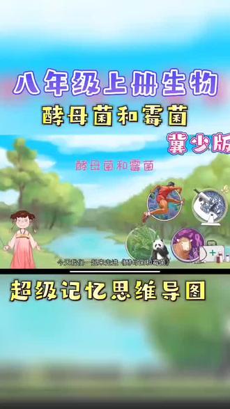 八年级上册生物《酵母菌和霉菌》,趣味动画视频+同步学校教材+覆盖重难点+思维导图记忆。 #动画 #知识分享 #生物