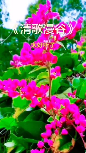 #抖音玩法合伙人计划#情绪音乐玩法新风向#拍同款#抖音二创激励计划@谁拍谁好看