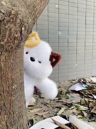小可爱~♥#这也太可爱了吧 #可爱到爆炸💥 #毛绒玩具#惊喜