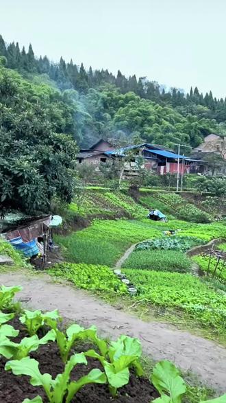 这个面膜,真的太绝了#面膜#奶皮面膜#发光面膜 #水光肌#护肤