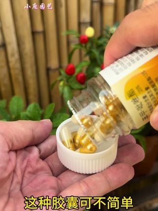 这种胶囊不简单喔#花卉绿植 #爱生活爱养花