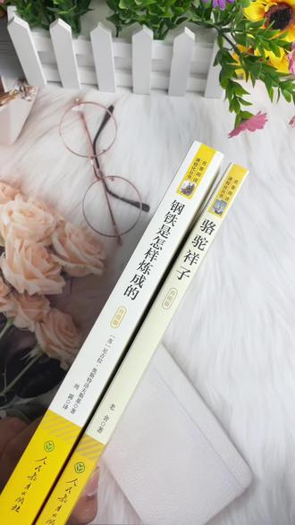 全新升级人教版七年级下册必读名著#人教版 #钢铁是怎样炼成的 #骆驼祥子 #七年级下册 #寒假必读