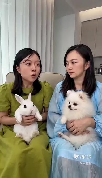 只讲随缘,最耽误自己😟黄金期错过,难度翻倍😵20-35岁这黄金十五年,弹指一挥间,年少佛系,中年怎么能不遗憾~#关键期#黄金期#印刻效应 #随缘#耽误#晚熟的人