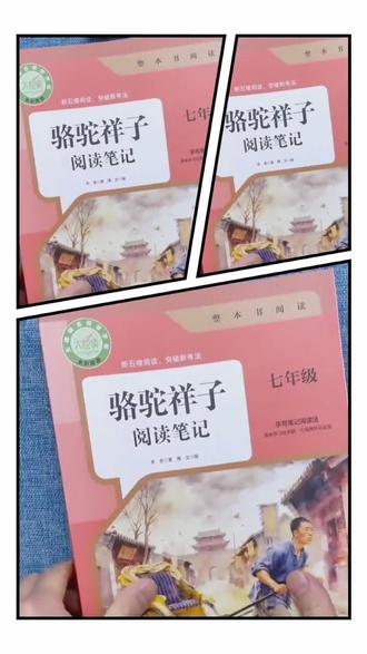 七下必读名著,钢铁是怎样炼成的和骆驼祥子,假期一定要提前看起来#七年级#名著#钢铁是怎样炼成的#骆驼祥子#必读名著