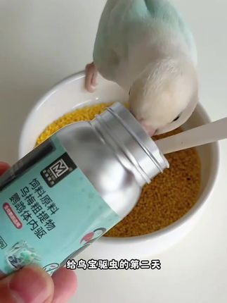 至臻魔方鹦鹉体内驱鸟用体内驱虎皮牡丹玄凤小太阳和尚通用