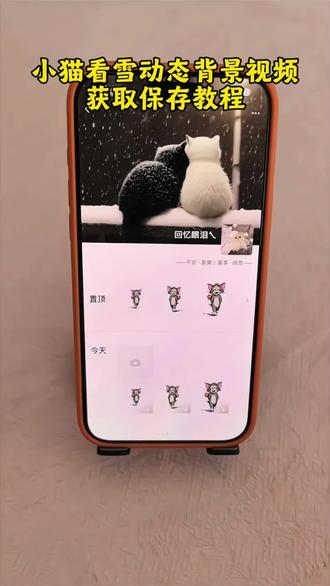 都在找的小猫看雪动态背景视频保存教程来了 #小猫下雪背景图动态 #黑猫白猫 #朋友圈动态背景 #手机锁屏 #猫猫 雪景 猫咪