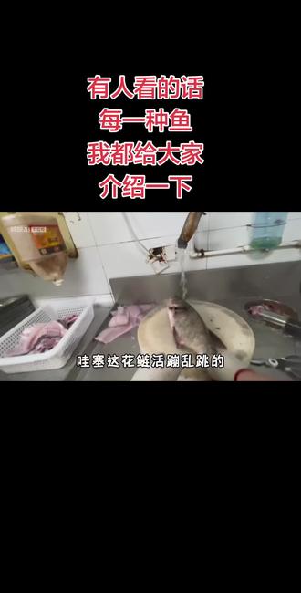 学会如何处理花鲢 #美食分享 #杀鱼技术哪家强 #杀鱼技巧