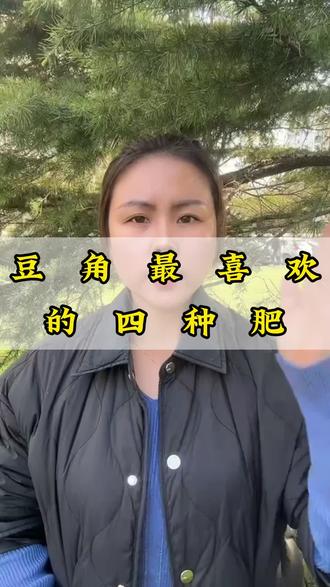 豆角最喜欢的四种肥#豆角种植 #豆角高产 #豆角种植技术#豆角肥料