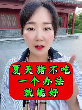 猪不吃料一招处理好 #养猪 #养猪人加油干 #养猪人 #养猪人不容易 #猪不吃 猪不吃料一招处理好