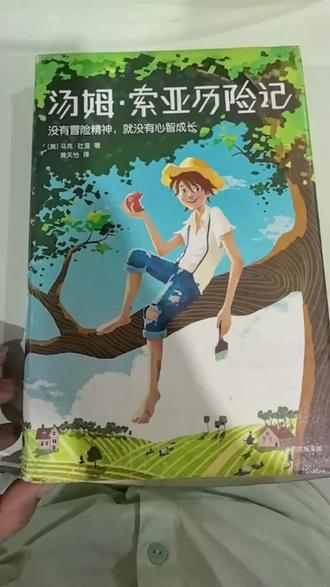🔥带娃必看!这才是童年该有的样子
#亲子阅读 #汤姆索亚历险记 #童年经典 #课外书推荐 #课外书