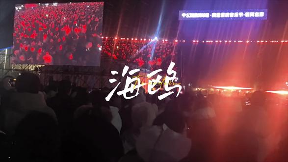我知道所有的伤痛都会过去,也明白有些遗憾会永远留在心里,哦但愿…#海鸥#逃跑计划