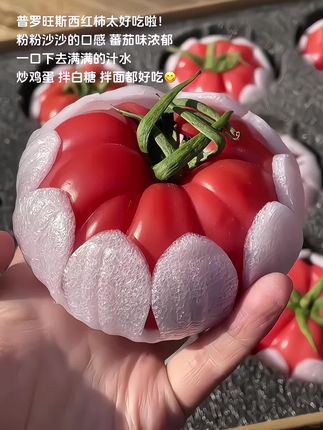 小时候才能吃到的味道!!好喜欢这个粉糯沙瓤草莓心汁水足的番茄,生吃特别好吃, 老品种番茄 风味特别浓郁,平时炒个西红柿鸡蛋,孩子们喜欢的不得了 #西红柿 #新鲜应季水果 #口感特别好 #番茄 #水果西红柿