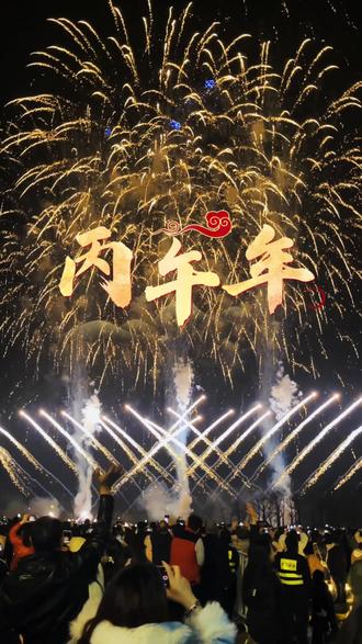 祝各位:前程似锦 #新年 #烟花