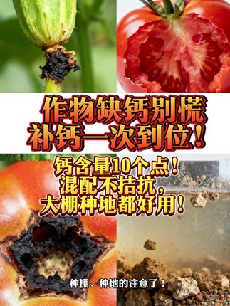 螯合钙肥料#农业种植#农资肥料#农资批发#螯合钙肥