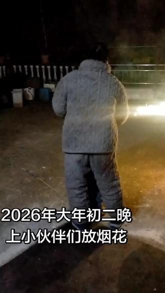 2026年大年初二晚上小伙伴们放烟花
#放烟花