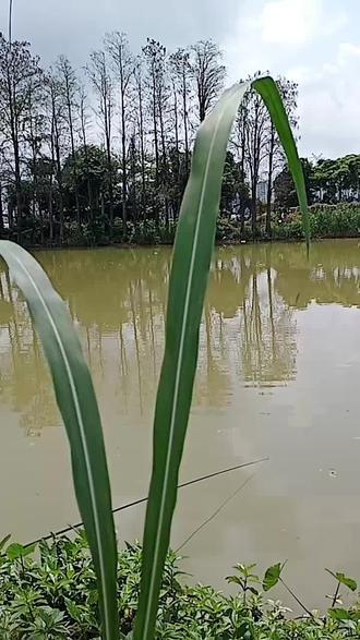 可惜你不看逐玉,不然你肯定懂