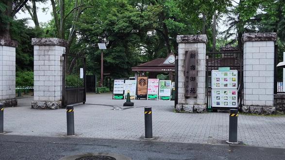 特意选了下雨天去新宿御苑,雨天和新宿御苑适配度满分#言叶之庭 #新宿御苑 #绿色