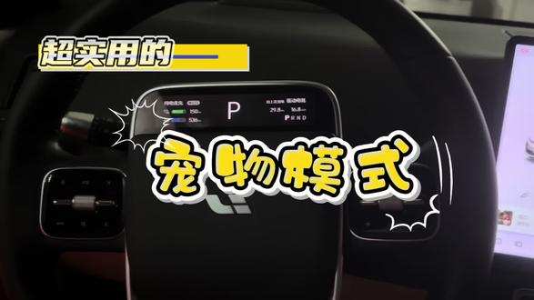 #理想生活进行时 #我家的宠物座舱 #理想汽车
理想车机 超实用的宠物模式